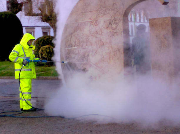 Best Residential Pressure Washing Services  in Bladensburg, MD