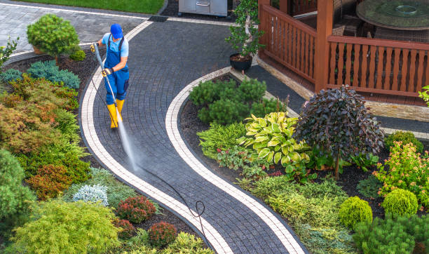Best Roof Power Washing Services  in Bladensburg, MD